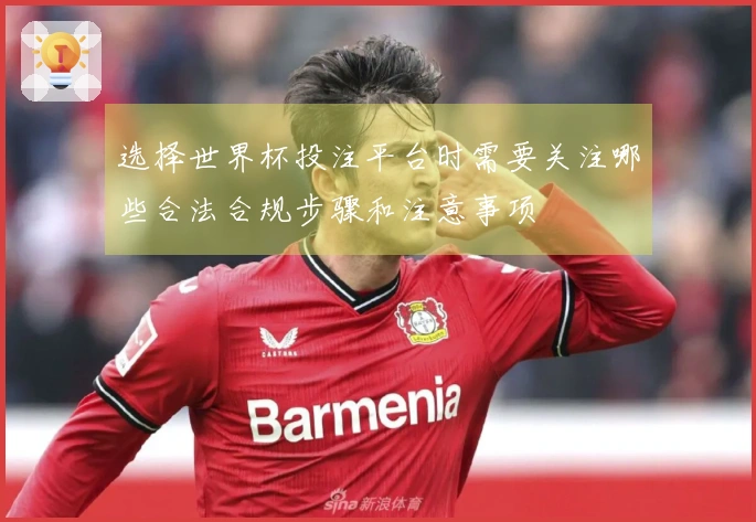 选择世界杯投注平台时需要关注哪些合法合规步骤和注意事项