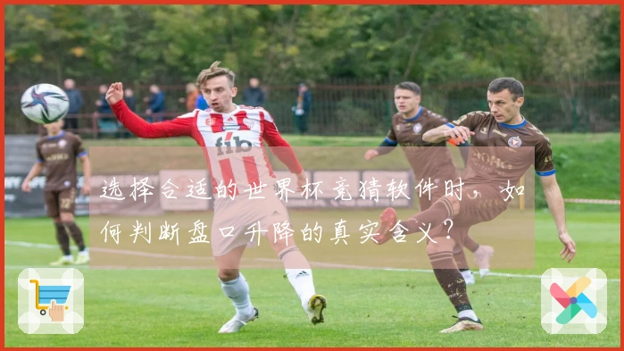 选择合适的世界杯竞猜软件时，如何判断盘口升降的真实含义？