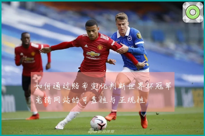 如何通过赔率变化判断世界杯冠军竞猜网站的可靠性与正规性