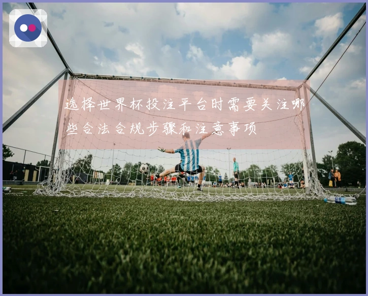 选择世界杯投注平台时需要关注哪些合法合规步骤和注意事项